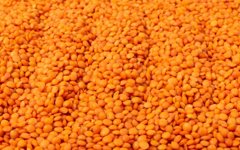Red Lentils Without Husk