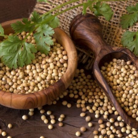 Coriander Seeds